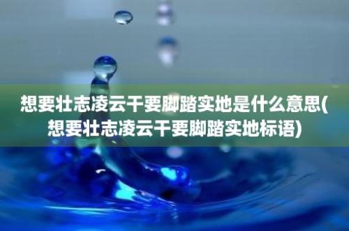 想要壮志凌云干要脚踏实地是什么意思(想要壮志凌云干要脚踏实地标语)