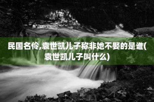 民国名伶,袁世凯儿子称非她不娶的是谁(袁世凯儿子叫什么)