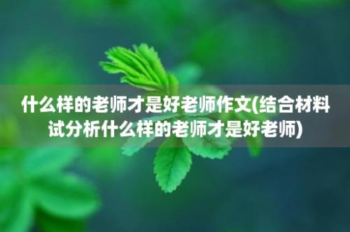 什么样的老师才是好老师作文(结合材料试分析什么样的老师才是好老师)