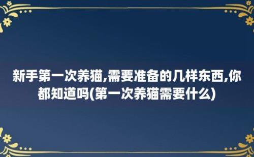 新手第一次养猫,需要准备的几样东西,你都知道吗(第一次养猫需要什么)