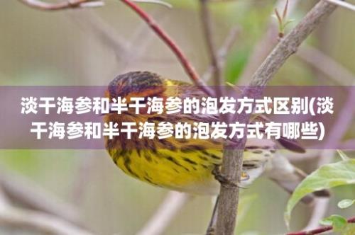 淡干海参和半干海参的泡发方式区别(淡干海参和半干海参的泡发方式有哪些)