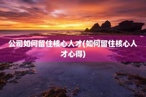 公司如何留住核心人才(如何留住核心人才心得)