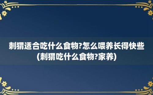 刺猬适合吃什么食物?怎么喂养长得快些(刺猬吃什么食物?家养)