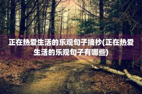 正在热爱生活的乐观句子摘抄(正在热爱生活的乐观句子有哪些)