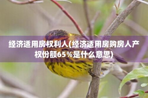 经济适用房权利人(经济适用房购房人产权份额65%是什么意思)