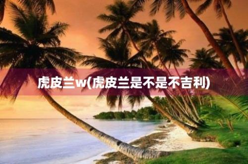 虎皮兰w(虎皮兰是不是不吉利)