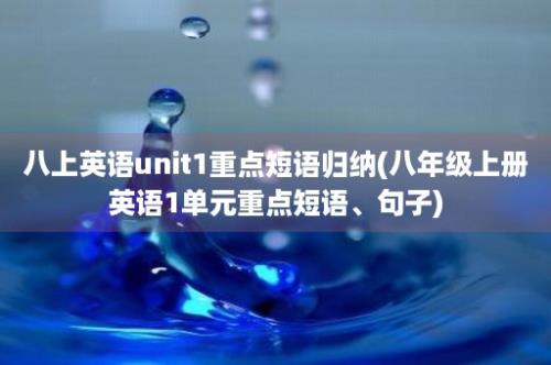 八上英语unit1重点短语归纳(八年级上册英语1单元重点短语、句子)