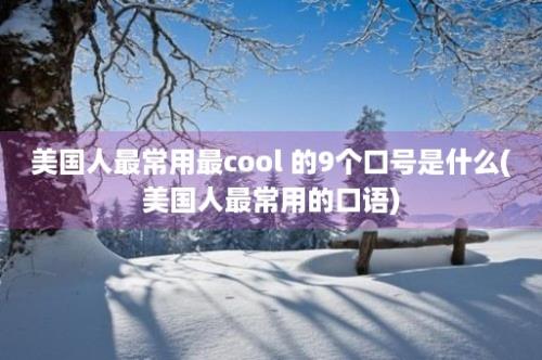 美国人最常用最cool 的9个口号是什么(美国人最常用的口语)