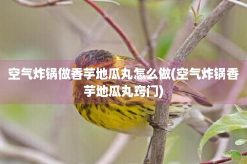 空气炸锅做香芋地瓜丸怎么做(空气炸锅香芋地瓜丸窍门)