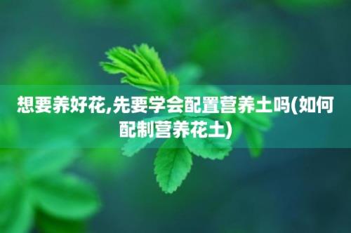 想要养好花,先要学会配置营养土吗(如何配制营养花土)