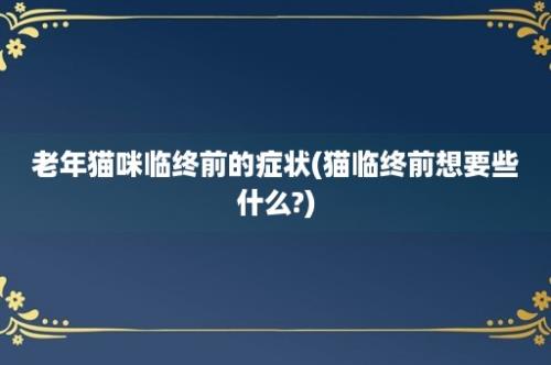 老年猫咪临终前的症状(猫临终前想要些什么?)