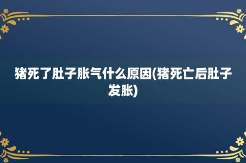 猪死了肚子胀气什么原因(猪死亡后肚子发胀)