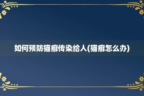 如何预防猫癣传染给人(猫癣怎么办)