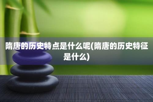 隋唐的历史特点是什么呢(隋唐的历史特征是什么)