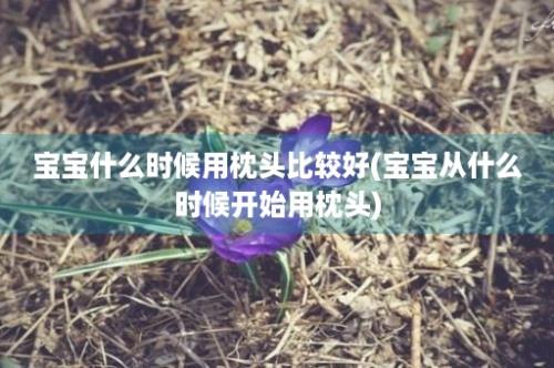 宝宝什么时候用枕头比较好(宝宝从什么时候开始用枕头)