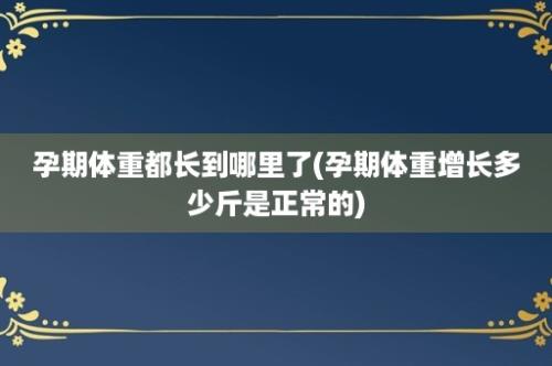 孕期体重都长到哪里了(孕期体重增长多少斤是正常的)