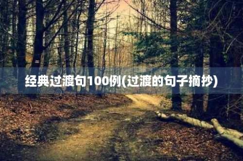 经典过渡句100例(过渡的句子摘抄)