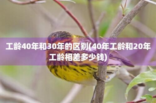 工龄40年和30年的区别(40年工龄和20年工龄相差多少钱)