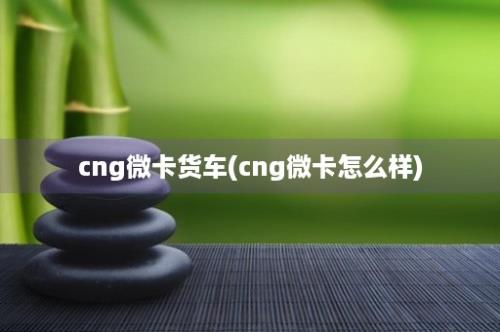 cng微卡货车(cng微卡怎么样)