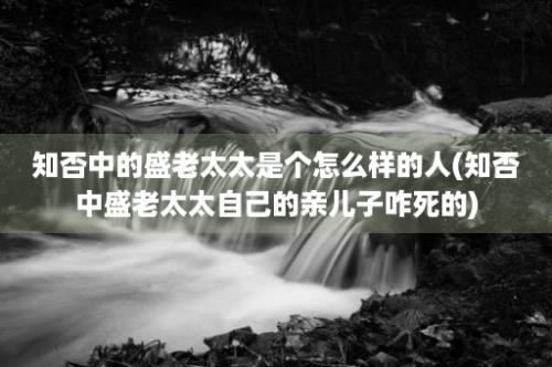 知否中的盛老太太是个怎么样的人(知否中盛老太太自己的亲儿子咋死的)