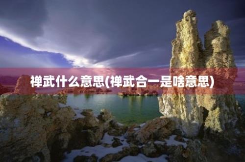 禅武什么意思(禅武合一是啥意思)