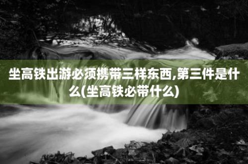 坐高铁出游必须携带三样东西,第三件是什么(坐高铁必带什么)