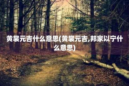 黄裳元吉什么意思(黄裳元吉,邦家以宁什么意思)