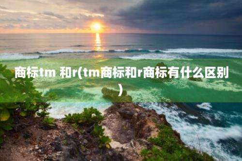 商标tm 和r(tm商标和r商标有什么区别)