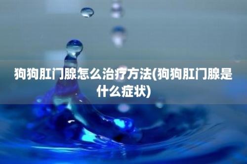 狗狗肛门腺怎么治疗方法(狗狗肛门腺是什么症状)