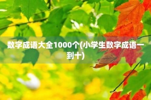 数字成语大全1000个(小学生数字成语一到十)