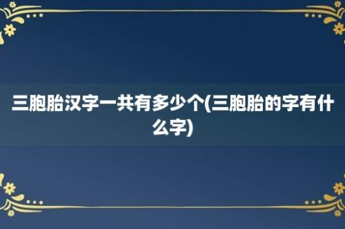 三胞胎汉字一共有多少个(三胞胎的字有什么字)