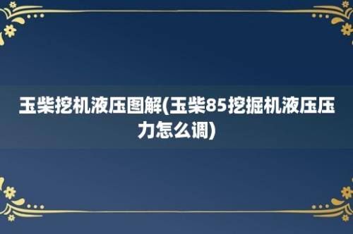 玉柴挖机液压图解(玉柴85挖掘机液压压力怎么调)