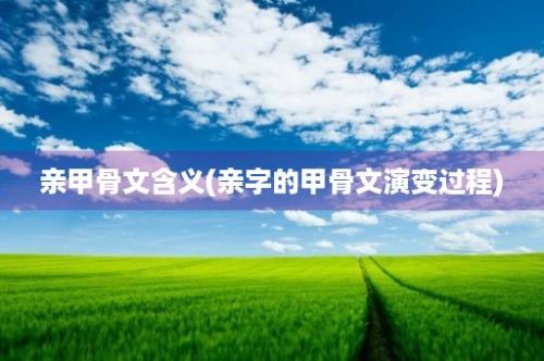 亲甲骨文含义(亲字的甲骨文演变过程)