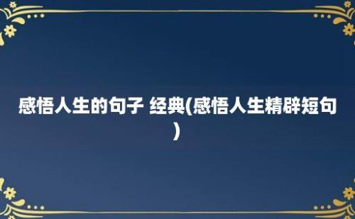 感悟人生的句子 经典(感悟人生精辟短句)