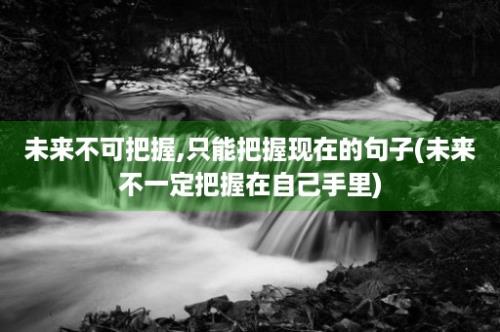 未来不可把握,只能把握现在的句子(未来不一定把握在自己手里)