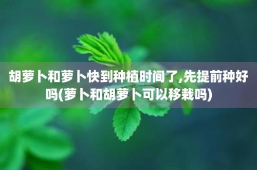 胡萝卜和萝卜快到种植时间了,先提前种好吗(萝卜和胡萝卜可以移栽吗)