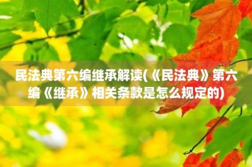 民法典第六编继承解读(《民法典》第六编《继承》相关条款是怎么规定的)