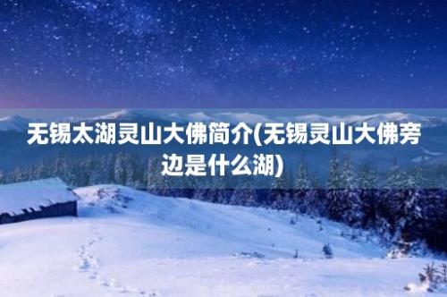 无锡太湖灵山大佛简介(无锡灵山大佛旁边是什么湖)