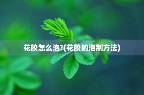 花胶怎么泡?(花胶的泡制方法)