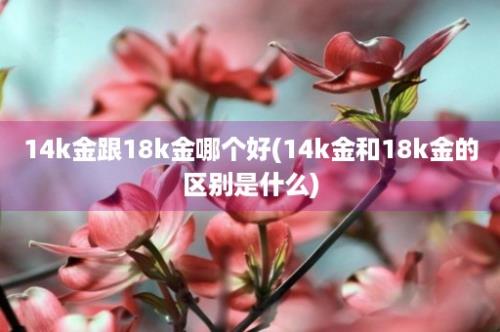 14k金跟18k金哪个好(14k金和18k金的区别是什么)