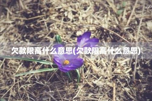 欠款限高什么意思(欠款限高什么意思)