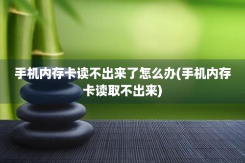 手机内存卡读不出来了怎么办(手机内存卡读取不出来)