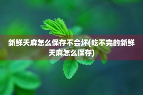 新鲜天麻怎么保存不会坏(吃不完的新鲜天麻怎么保存)