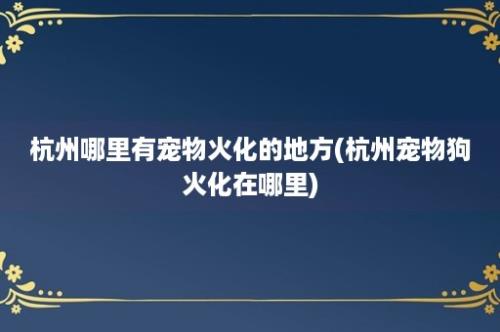 杭州哪里有宠物火化的地方(杭州宠物狗火化在哪里)