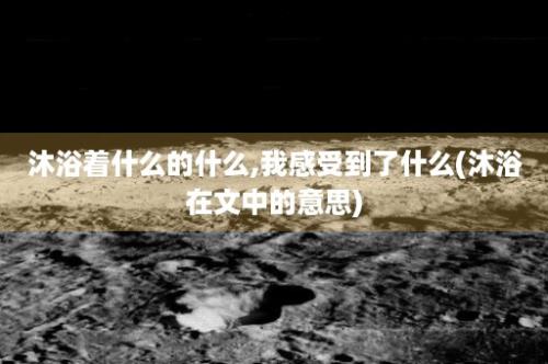 沐浴着什么的什么,我感受到了什么(沐浴在文中的意思)