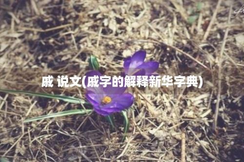 戚 说文(戚字的解释新华字典)