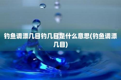 钓鱼调漂几目钓几目是什么意思(钓鱼调漂几目)