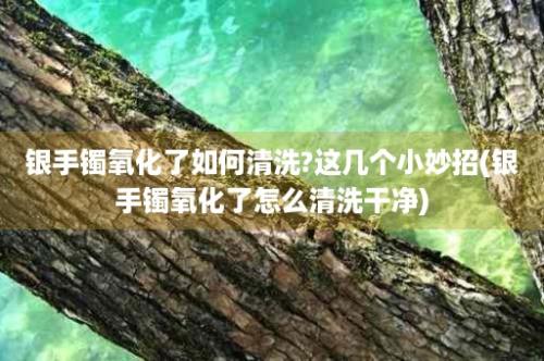 银手镯氧化了如何清洗?这几个小妙招(银手镯氧化了怎么清洗干净)