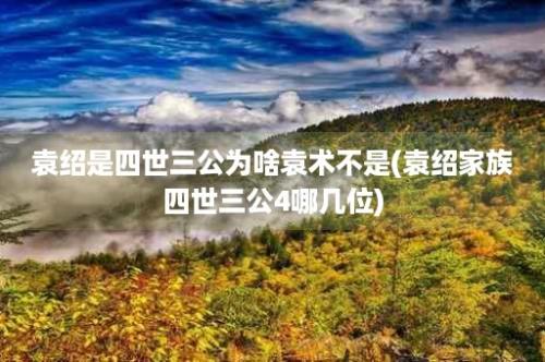 袁绍是四世三公为啥袁术不是(袁绍家族四世三公4哪几位)