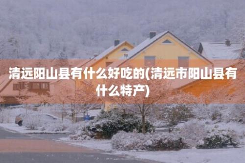 清远阳山县有什么好吃的(清远市阳山县有什么特产)